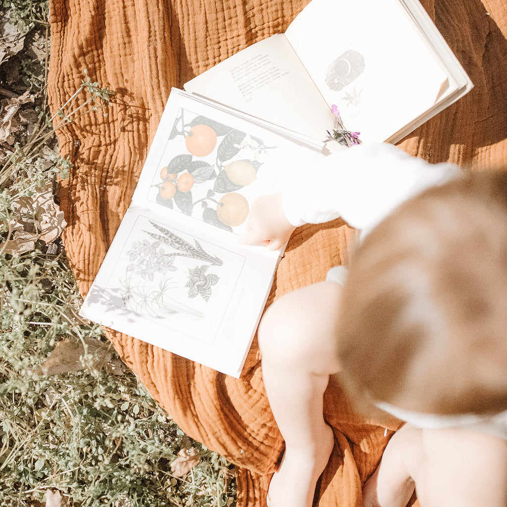 SMALL TOYS + BOOKS